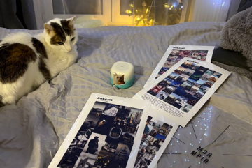 Карта желаний, котик, фото: Знай.ua