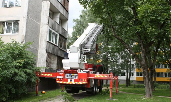 Ночував на дереві: під Дніпром малюк застряг на 10-метровій висоті, рятували всім містом