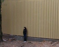 Голова держпідприємства України "зганьбив" Медведєва свої парканом