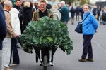 Біологи знайшли спосіб вирощувати овочі-гіганти