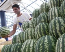 Сезон арбузов: как избежать отравления