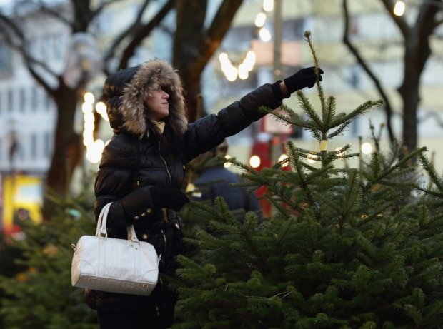 Европейский сервис: в Киеве будут продавать елки со степенями защиты