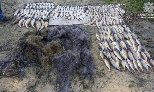 незаконный лов рыбы