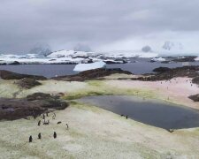 Антарктида / фото: instagram.com/antarcticcenterua/