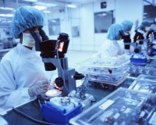 Массовое отравление на Буковине: названа причина