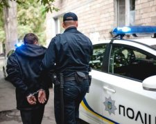 Київські шибайголови влаштували побоїще у кращих традиціях вуличної бійки: відео