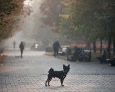 Погода меняет курс: чего ждать украинцам в конце недели