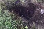 Під Харковом п'яний атовець підірвав себе гранатою - очевидці застигли від жаху