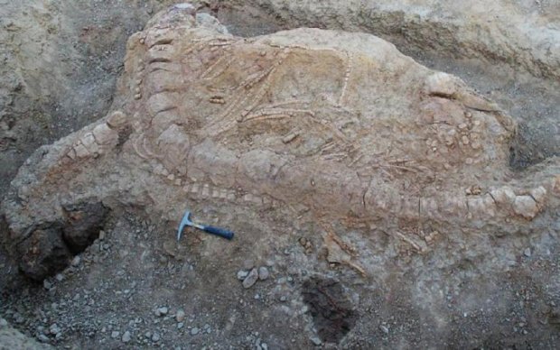 В Індії відкопали якусь стародавню тварюку