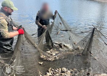 Золотая рыбка по-белоцерковски: фермер наловил браконьерским неводом ущерб на 6 миллионов