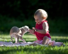 Чому молодим батькам краще завести собаку