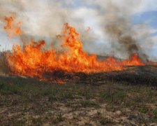 Сибирские власти обвинили в степных пожарах диверсантов