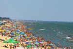 Українські пляжі перетворюються на стихійні кладовища, гори трупів прибирають тракторами: моторошні кадри