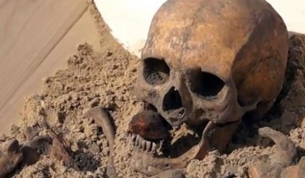 Кістки  вампіра стануть експознатом польського музею
