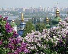 Курс валют на 13 квітня: євро завмер, а долар здає позиції