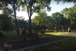 Харківщину заполонили дивні комахи: клімат збожеволів