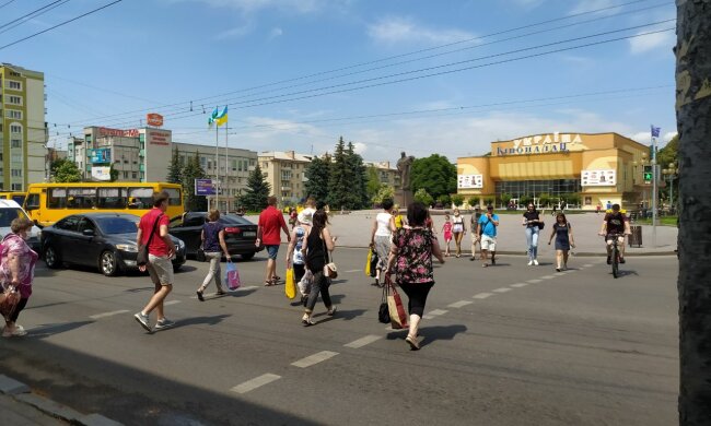 Во Львове банда "золотых ручек" напала на ветерана АТО - мешала грабить