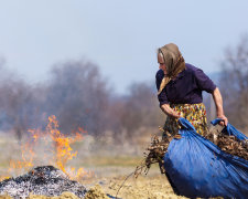 Ну хоч не взимку: у Києві нарешті вигадали, що робити з опалим листям