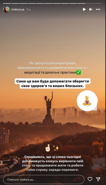 Ксения Мишина, скриншот: Instagram Stories