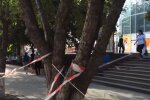 Тернополяне превратились в "зомби" из-за супермаркета под окнами - пьют и орут до утра