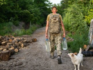 Животные на Донбассе, фото с фейсбук