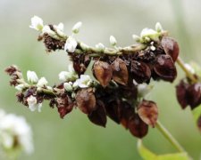 26 червня: яке сьогодні свято