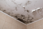 Плесень в ванной, изображение из свободных источников