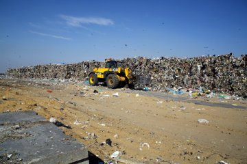 "Ми – вірус з взуттям": людство знищило 60% тварин