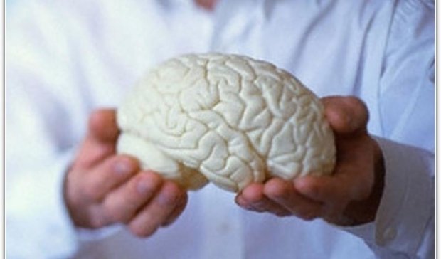 Мозок підніс незрозумілу загадку ученим