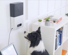Petcube рятує домашніх улюбленців від самотності