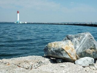 Чорне море біля узбережжя Одеси на початку літа