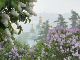 Церковь, сирень, кадр из видео