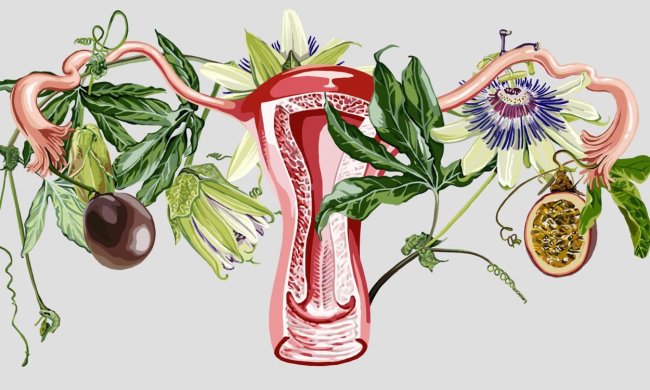 Генетики кинули виклик рідкісної аномалії геніталій: у пошуках причин і ліків