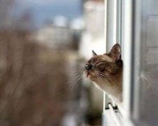 Последний день зимы порадует украинский теплым солнцем