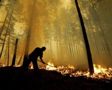 В Чернобыле горят гектары леса: первые подробности