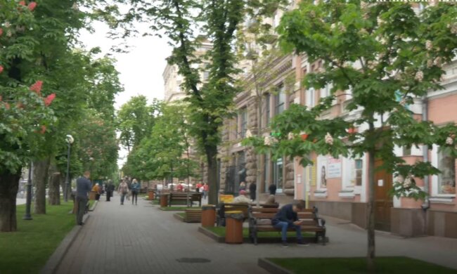 Каштани, фото: скріншот з відео