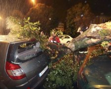 В Європі НП! Херверт масово забирає людські життя
