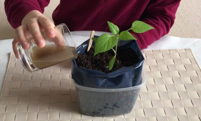 Розчин з дріжджів, скріншот: YouTube