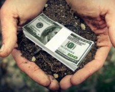 Під Києвом викрили корупційну земельну схему