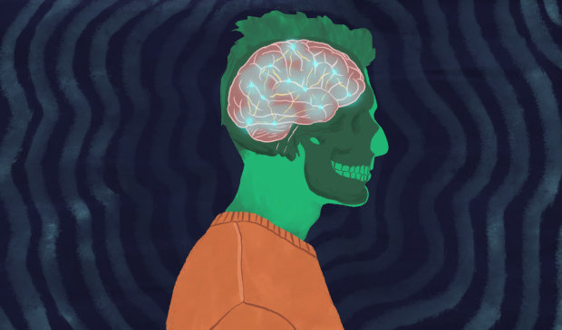 Алкоголь, никотин, кокаин: какие участки мозга отвечают за зависимость