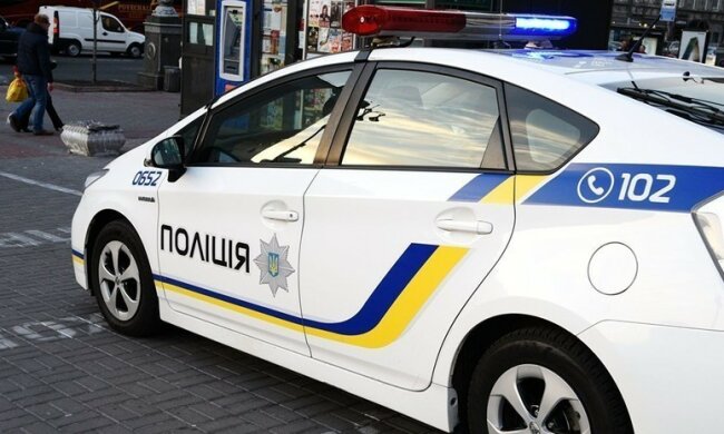 Пішла гуляти і зникла: під Харковом шукають дівчинку з особливою прикметою