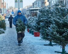 В Украине новогодние елки превратились в золото, цены взлетели выше облаков: подробности
