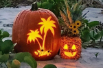 Гороскоп, изображение: Pinterest