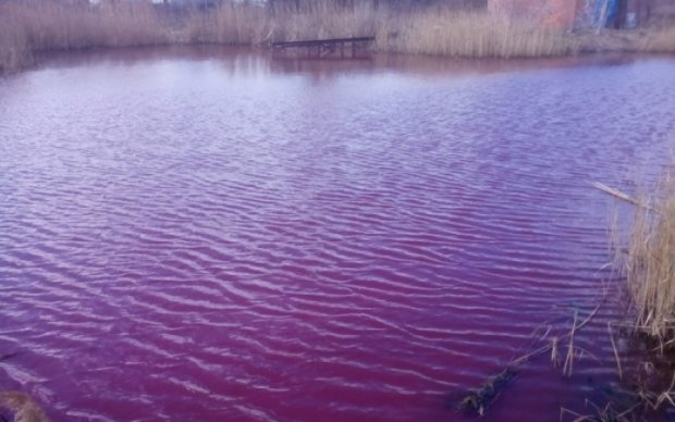 Екологи перевірили "рожеве" озеро на Чернігівщині