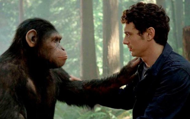 Нарешті знайдено ключову відмінність між людиною і мавпою