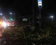 Внезапный ураган всего за несколько минут натворил беды в Черновцах