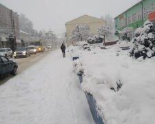 Львів засипало снігом, фото: Галина Сорока/ФБ