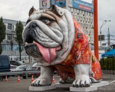 Дай лапу, Джим: у Києві біля метро з'явився гігантський бульдог, вражаючі фото