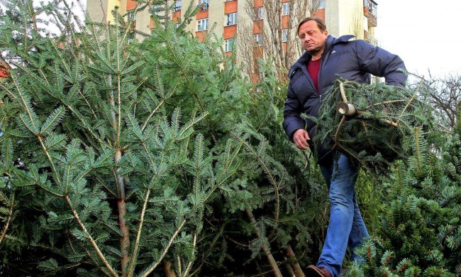 Найпотворніша ялинка України зводить соцмережі з глузду: вбивця новорічного настрою