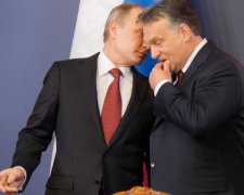 Закон об образованнии вскрыл все "путинские консервы" в Европе?